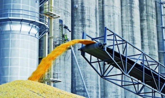 Уряд може запровадити регулювання цін на перевалку зерна, — Висоцький фото, ілюстрація