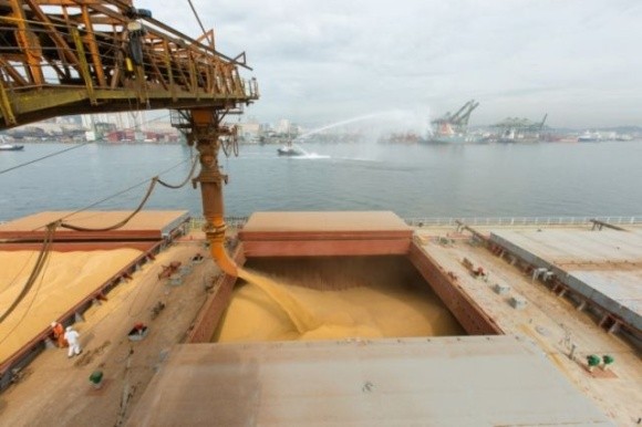 Украина в декабре существенно сократила экспорт пшеницы и ячменя морскими портами фото, иллюстрация