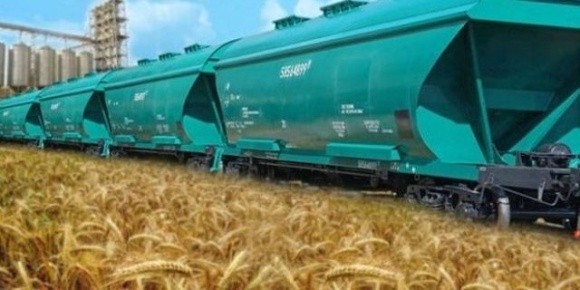 Вартість перевезення зерна Укрзалізницею знижується фото, ілюстрація