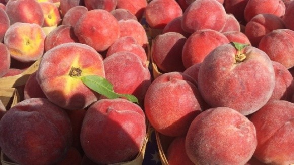 Українські фермери вирощують персики, а в продажу — імпортні фото, ілюстрація