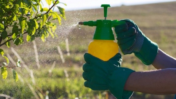 В Європі виявлено рекордну кількість підроблених пестицидів  фото, ілюстрація