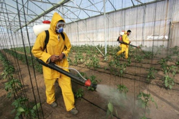 Експерти ООН звинуватили виробників пестицидів у спотворенні інформації фото, ілюстрація