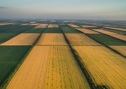 Українські аграрії придумали як запустити земельний ринок фото, ілюстрація