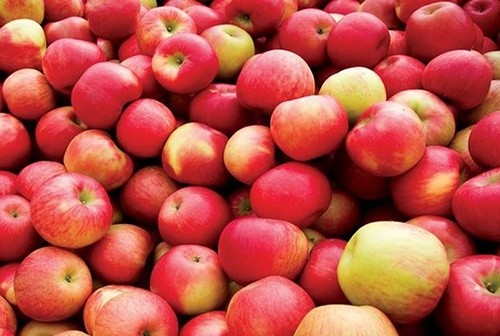 В травні Україна збільшила імпорт яблук в 7 разів фото, ілюстрація