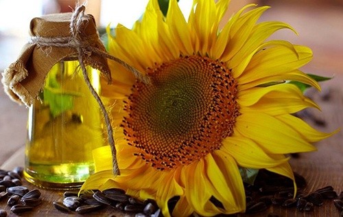 Україну можуть "посунути" на ринку соняшникової олії в Індію фото, ілюстрація
