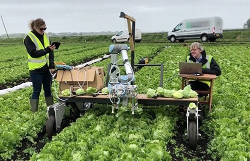 В Англії створили робота-фермера, який збирає салат фото, ілюстрація