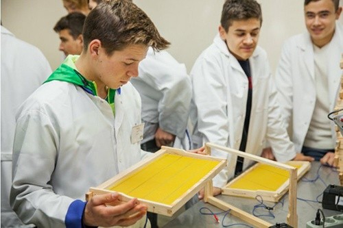 У Молдові будуть навчати професіями бджоляра та виробника ягід фото, ілюстрація
