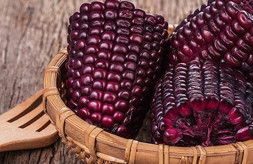 В Україні вивели новий сорт солодкої кукурудзи фото, ілюстрація