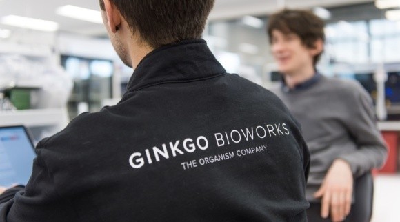 Спільне підприємство Bayer і Ginkgo Bioworks отримало ім'я, CEO і план фото, ілюстрація