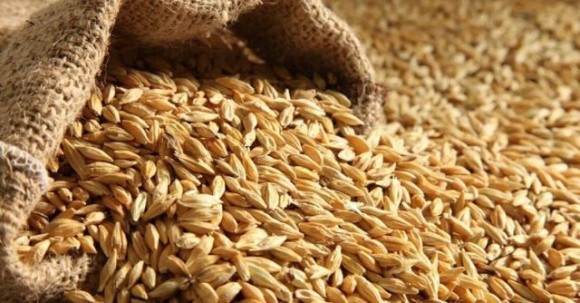 Підвищений вміст пестицидів в українській пшениці, яка поступила на ринок Словаччини, підтвердився фото, ілюстрація