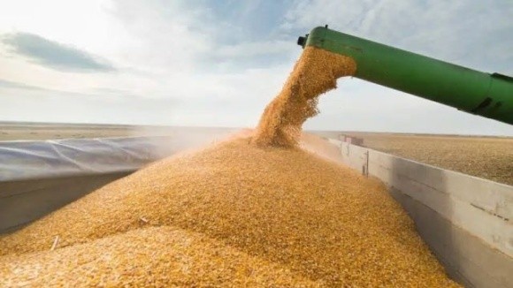 Україна підготувала «план Б» для зернової угоди – росії в ньому немає фото, ілюстрація