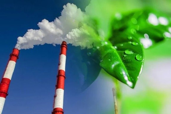 Виробники енергії з біопалива не сплачуватимуть податок на викиди вуглецю фото, ілюстрація