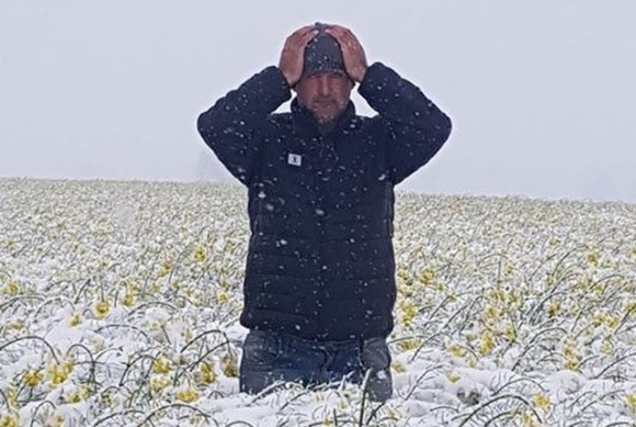 Сніг у Польщі: фермер показав плачевні наслідки травневого снігопаду  фото, ілюстрація