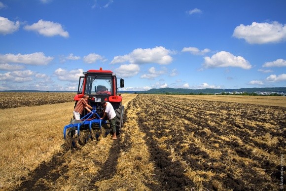 Украинский аграрий имеет другие преимущества, чем британский или немецкий, - эксперт фото, иллюстрация