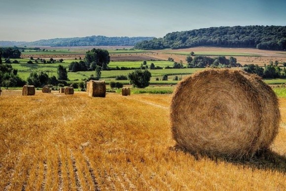 Скільки працюють фермери в ЄС та світі фото, ілюстрація