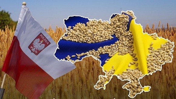 Чому Польща вирішила посилити контроль за українською агропродукцією фото, ілюстрація