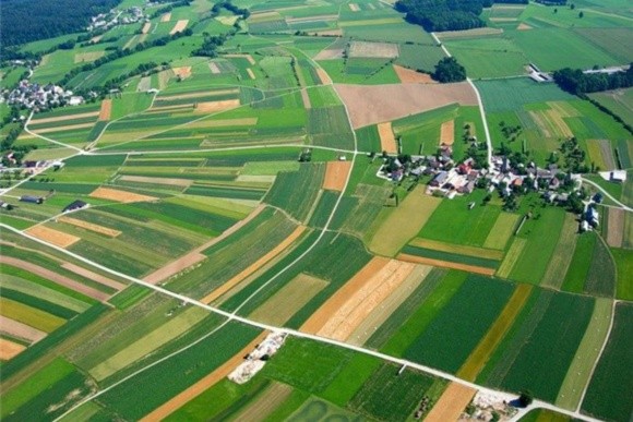 В УАК пропонують відкриття ринку землі сільгосппризначення розпочати з «пілотного проекту» фото, ілюстрація