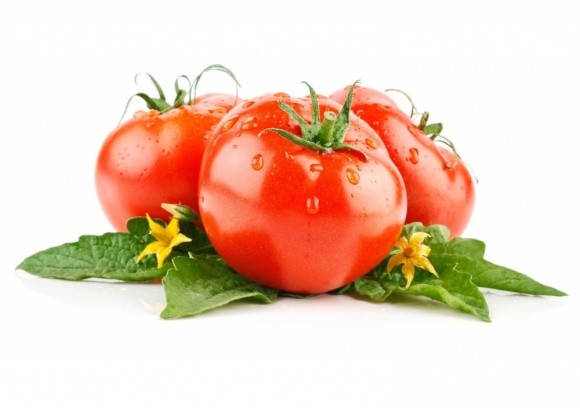 Американські вчені знайшли як пришвидшити ріст помідорів фото, ілюстрація