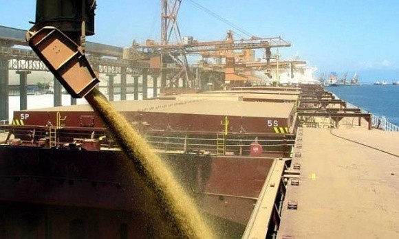 Попит на пшеницю в українських портах залишається високим фото, ілюстрація