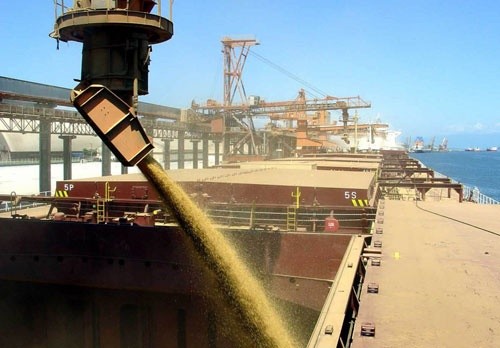 Україна продовжує скорочувати відвантаження зернових з портів фото, ілюстрація