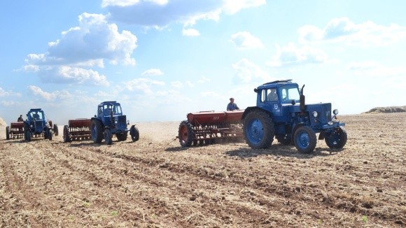 На Полтавщині пересівають кукурудзу, сою та цукровий буряк фото, ілюстрація