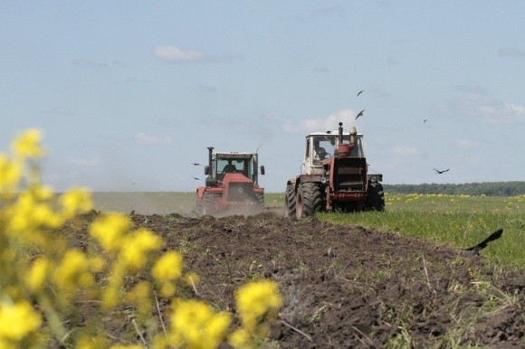 Найбільша шкода від різкого похолодання - у зміщенні термінів посівної фото, ілюстрація