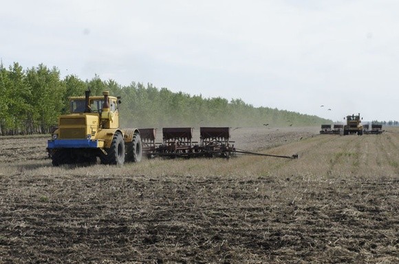 На Львівщині аграрії завершили сівбу ранніх зернових і зернобобових фото, ілюстрація