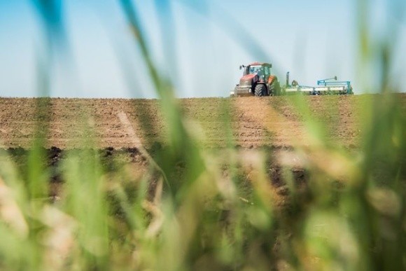 Група «АГРОТРЕЙД» розпочала посівну кампанію соняшника, кукурудзи та гірчиці фото, ілюстрація