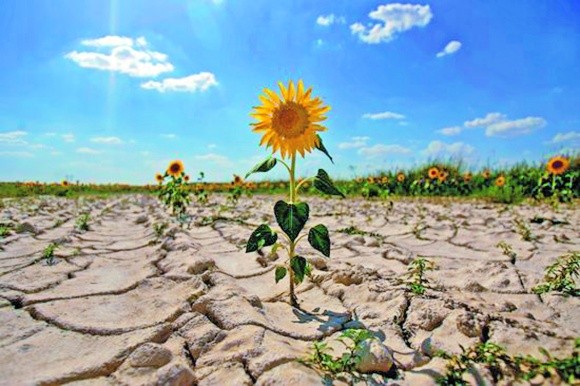Агролайфхак: як аграрії боряться з посухою на полях фото, ілюстрація