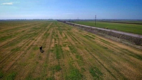 Одеські фермери, які постраждали від посухи, отримали перші 125 тонн зерна на посівну фото, ілюстрація