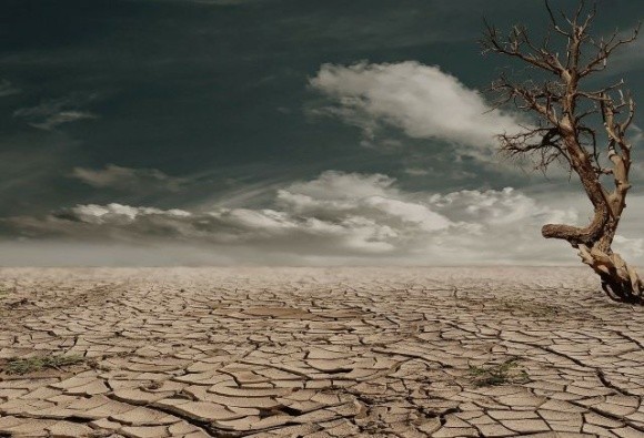 У восьми регіонах Англії оголошено посуху, і це тільки початок фото, ілюстрація
