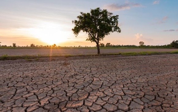 Роль агросектору України зросла через посуху в Європі фото, ілюстрація