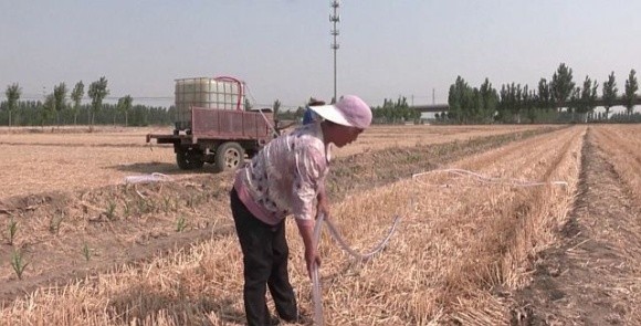 Посуха в Китаї: в деяких провінціях оголосили помаранчевий рівень небезпеки фото, ілюстрація