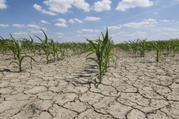 Проблеми з їжею та затоплення територій: експерт пояснив, як зміни клімату можуть вплинути на Україну фото, ілюстрація