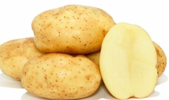 Європейський хіт — сорти картоплі з низьким вмістом вуглеводів фото, ілюстрація