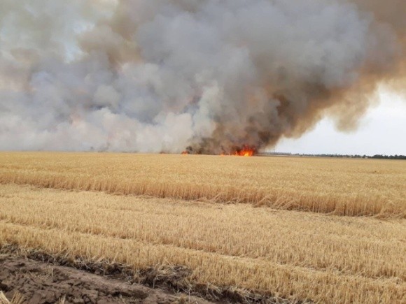 На Херсонщині іскра від приміського потягу спалила поле пшениці фото, ілюстрація