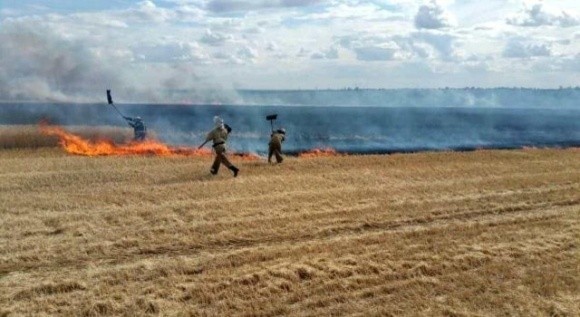 На Харківщині з початку збиральної кампанії виникло 13 пожеж  фото, ілюстрація