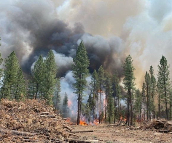 У США вирують масштабні пожежі. Вогонь уже знищив 485 тисяч гектарів лісу фото, ілюстрація