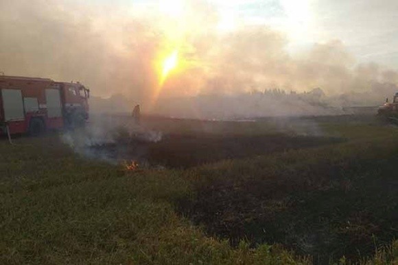 На Херсонщині фермеру спалили вже четверте поле з врожаєм фото, ілюстрація