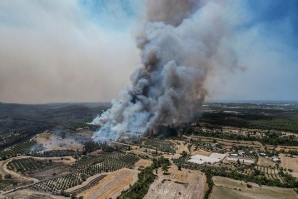 У Туреччині озвучили збитки від пожеж, які зазнало сільське господарство фото, ілюстрація