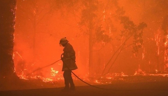 Австралію охопили масштабні пожежі, які вже знищили понад 60 тисяч гектарів лісу фото, ілюстрація