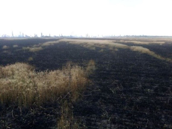 Пожежники Миколаївщини рятують поля від вогню фото, ілюстрація