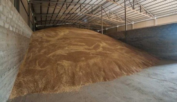 Експерти вважають побоювання щодо браку потужностей зберігання зерна дещо перебільшеними фото, ілюстрація