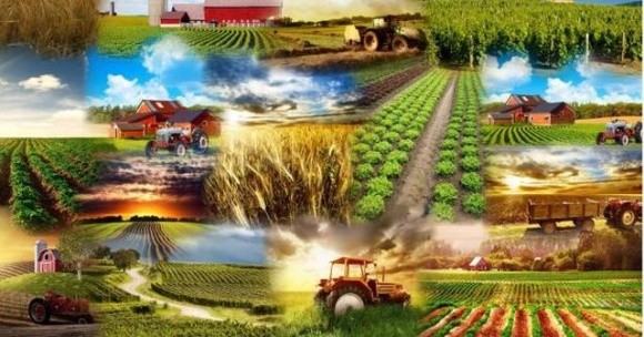 Від підтримки аграріїв до імпортозаміщення – Зеленський ввів в дію рішення щодо забезпечення продовольчої безпеки фото, ілюстрація