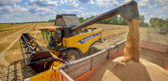 УКАБ очікує на врожай 42,5 млн т зернових фото, ілюстрація