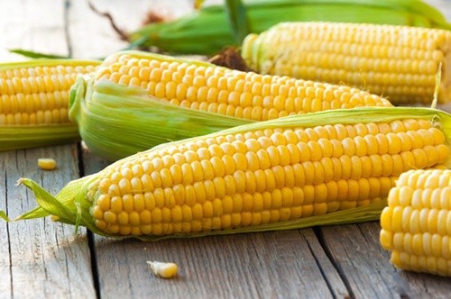 Україна в чотири рази збільшила експорт кукурудзи в ЄС фото, ілюстрація