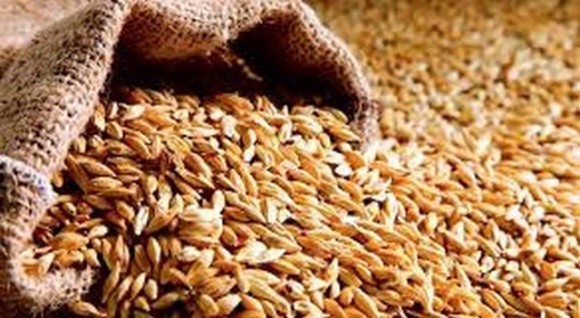 Працівники Держрезерву продавали пшеницю по 350 грн за тонну фото, ілюстрація