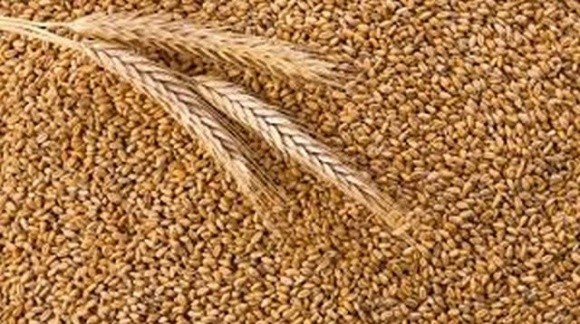 Україна може отримати від ЄС 1 млрд євро щоб викупити зерно у аграріїв фото, ілюстрація