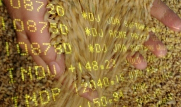 Пшеничні котирування падають слідом за цінами на сою та кукурудзу фото, ілюстрація
