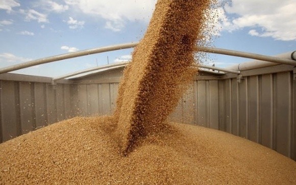 Темпы экспорта зерна снижаются. 80% урожая распродано фото, иллюстрация